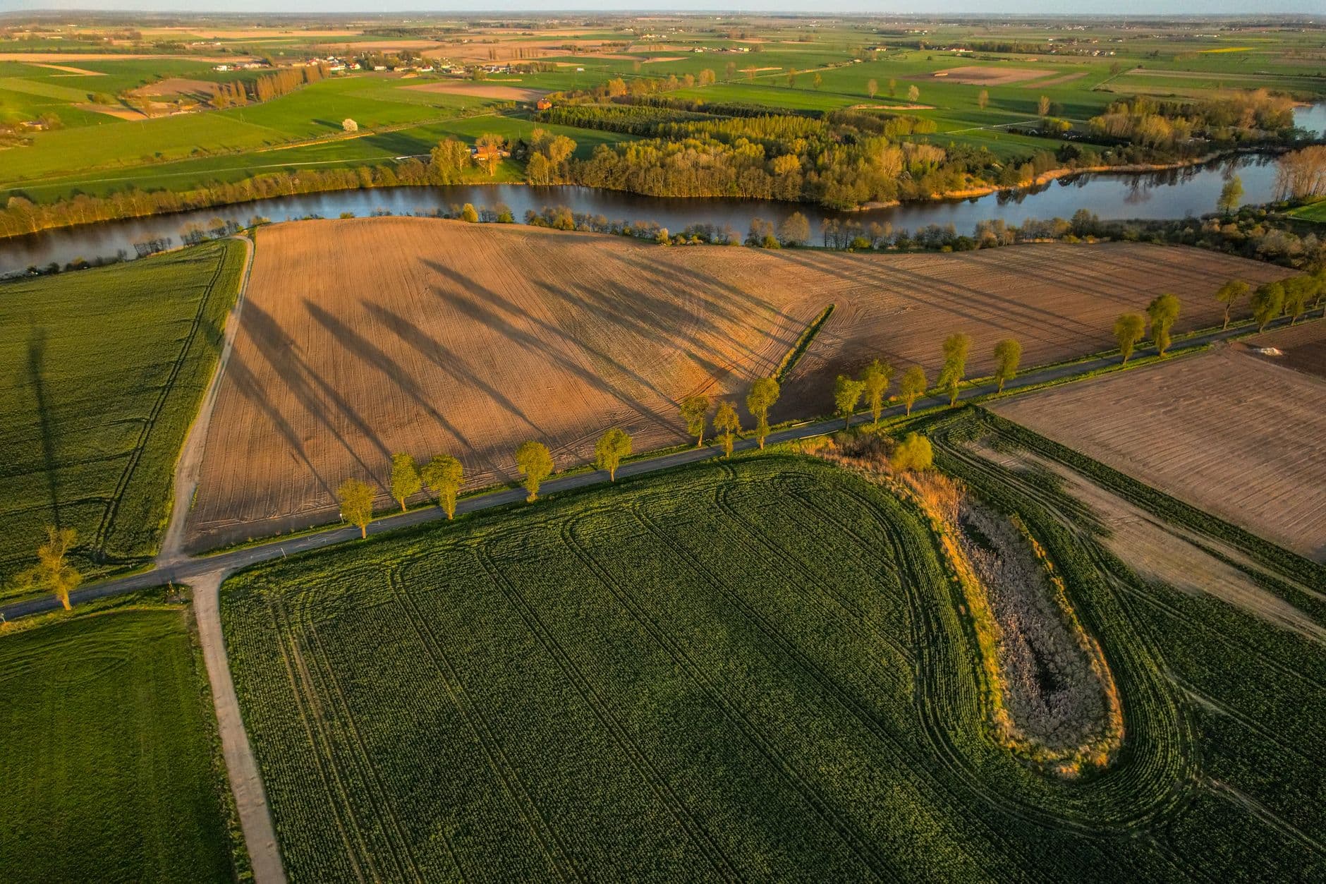 Luchtbeeld van akkers en weilanden met een rij bomen langs een rivier bij laagstaande zon