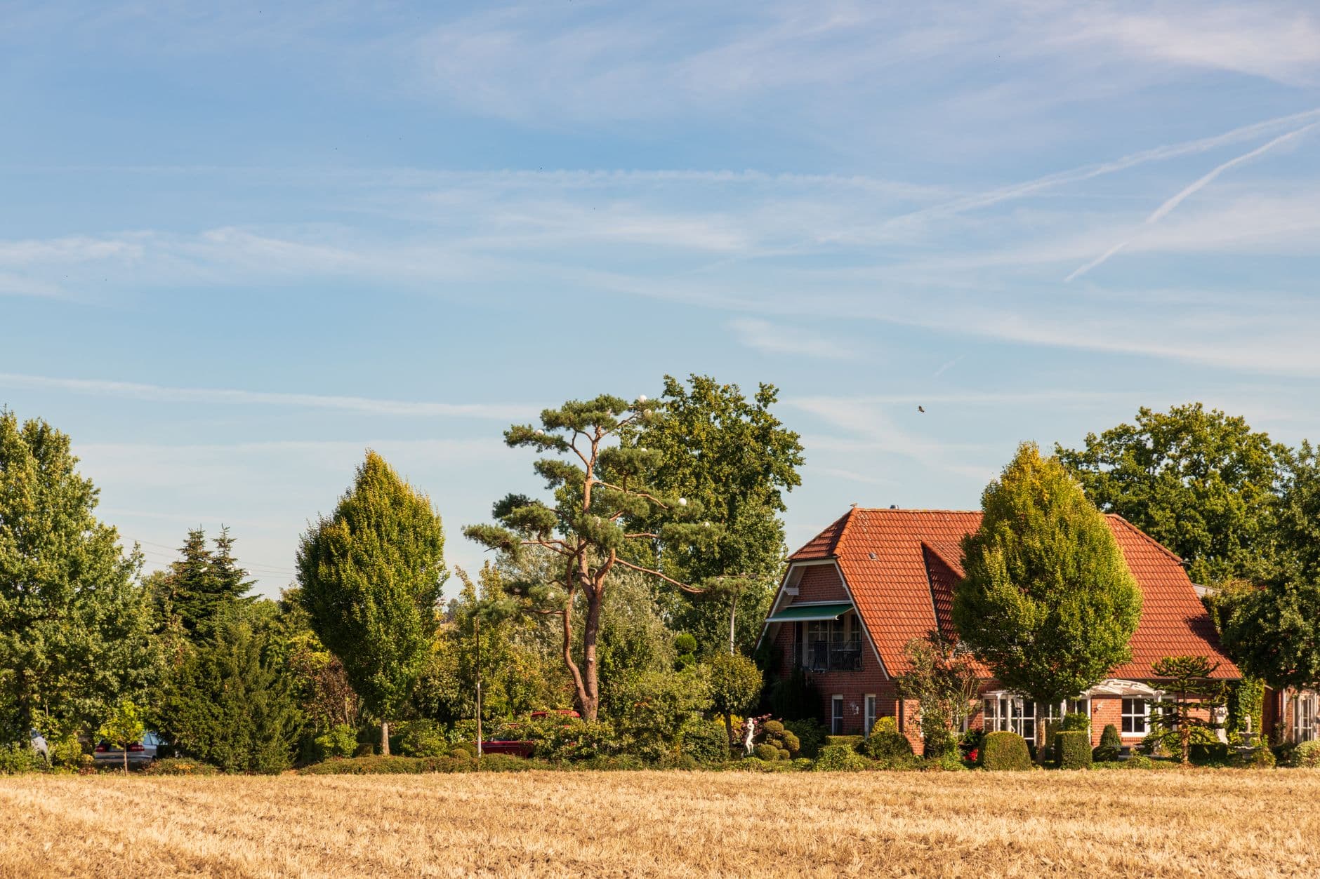 Bakstenen woning met rood pannendak tussen hoge bomen achter een gemaaid graanveld