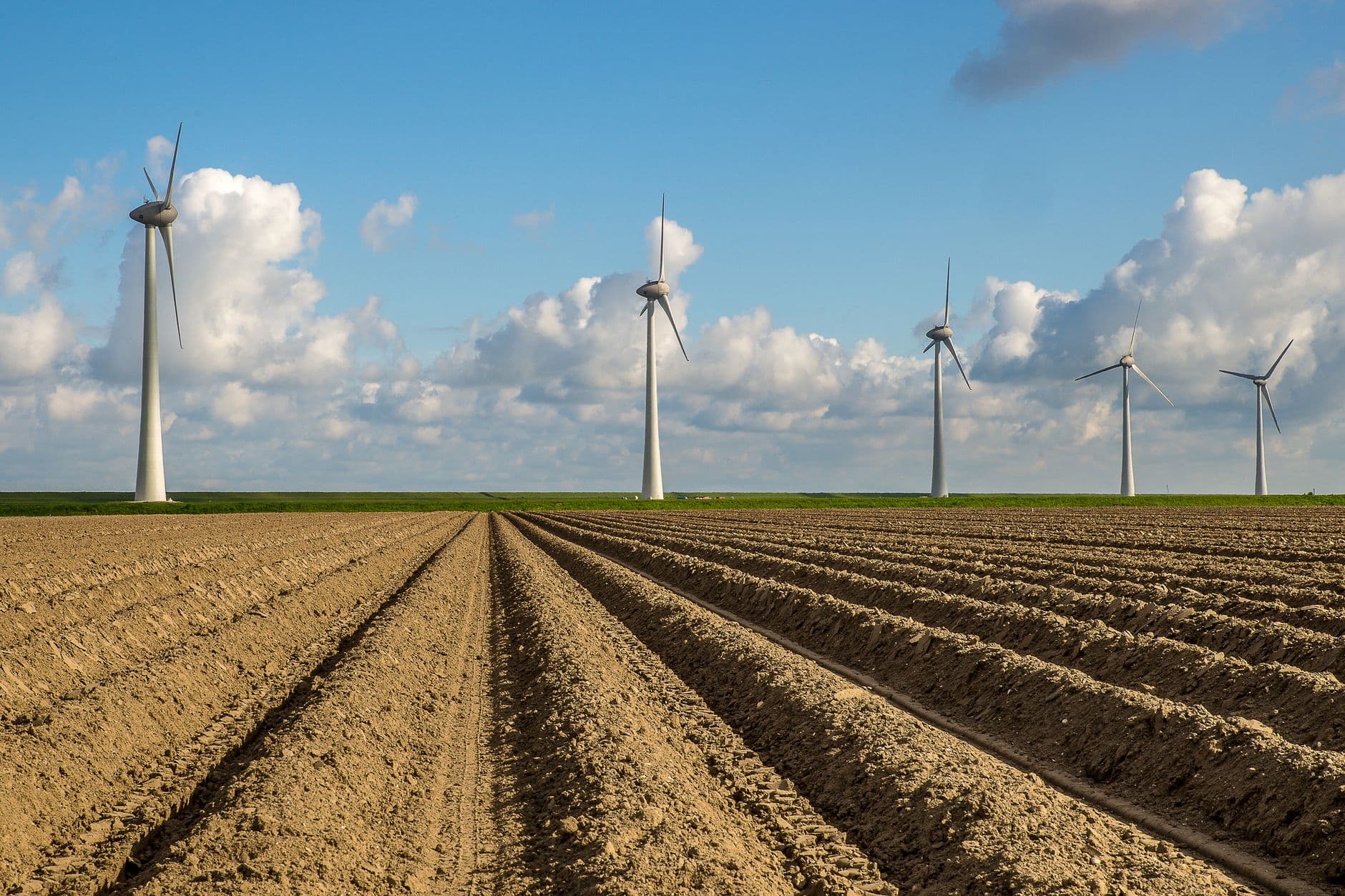 Windturbines achter een pas geploegde akker onder een blauwe lucht met stapelwolken
