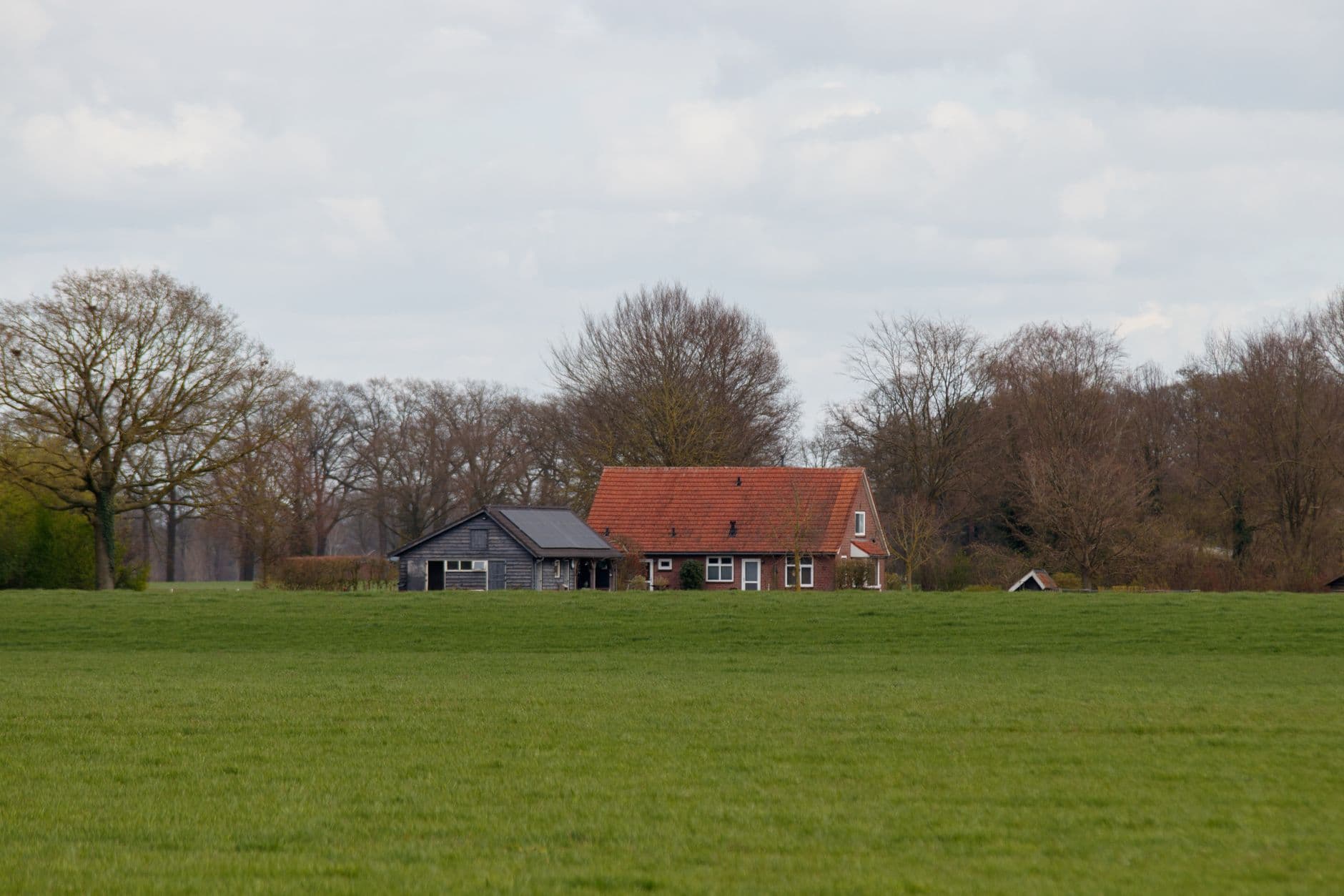 Boerderij met rood pannendak tussen kale bomen achter een groen weiland