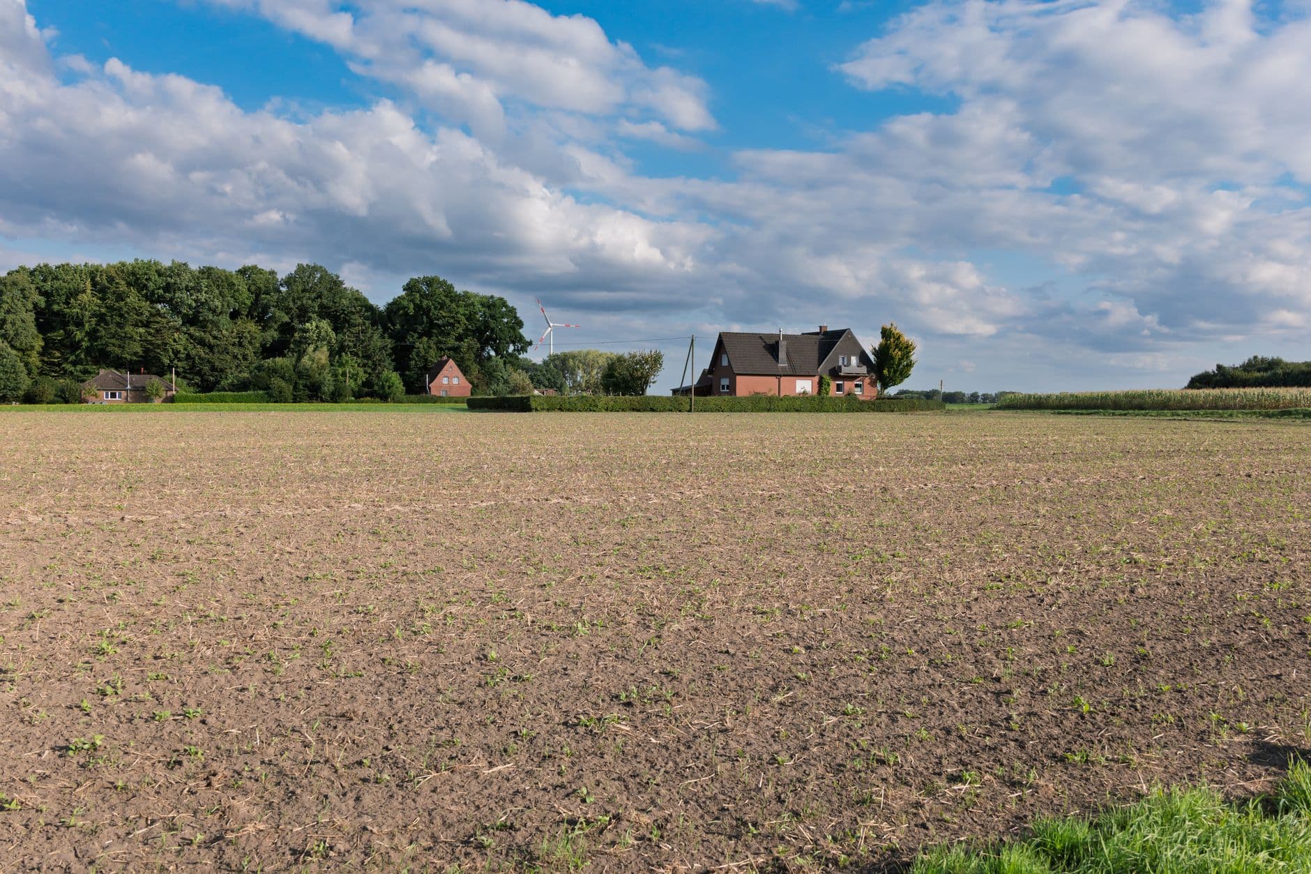 Vlak akkerland met een bakstenen woning en een bomenrij onder een wolkenlucht