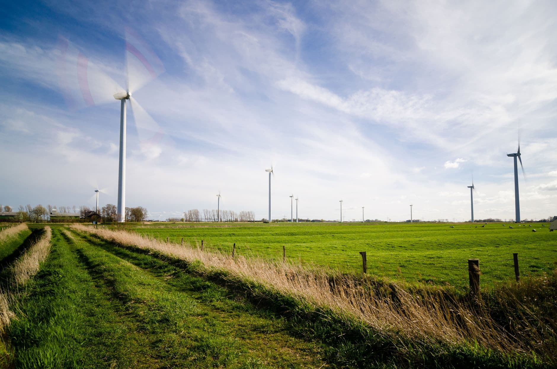 Windturbines aan de rand van een vlak grasland met weidepalen en een graspad