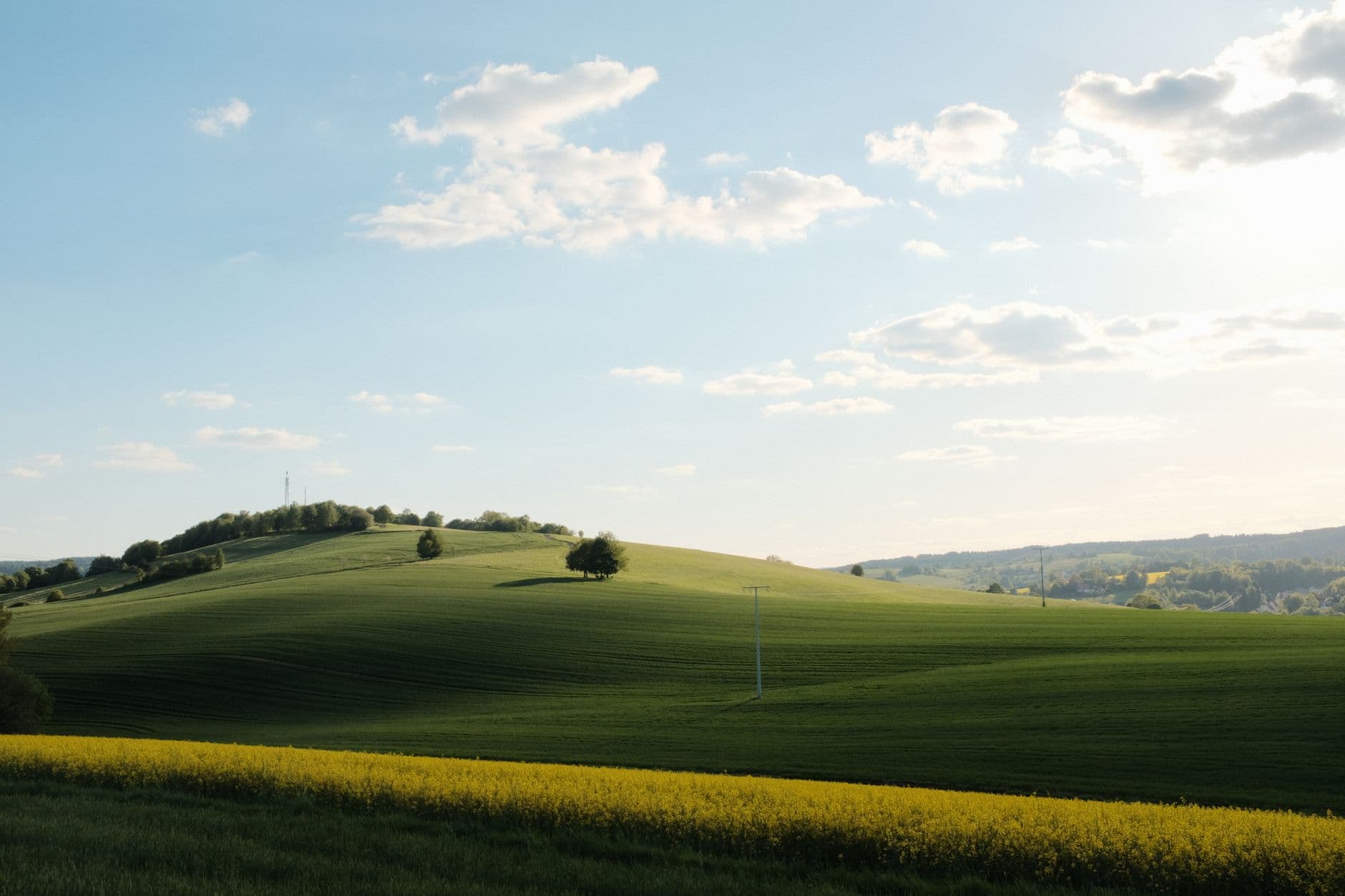 Glooiend groen akkerland met een strook bloeiend koolzaad, enkele bomen en een heldere lucht