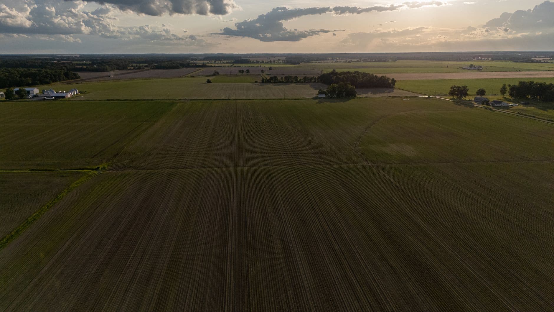 Luchtbeeld van vlakke akkers met bomengroepen en boerderijen bij zonsondergang