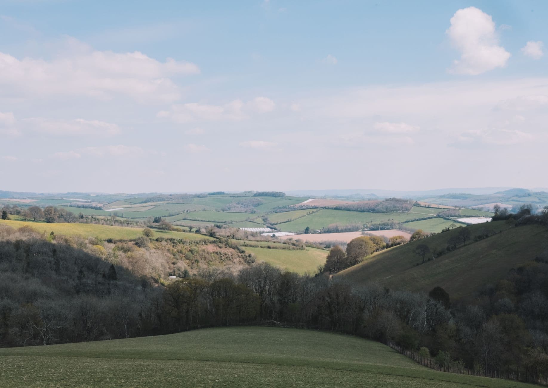 Glooiend landschap met groene akkers, bomenrijen en houtkanten onder een lichtbewolkte lucht