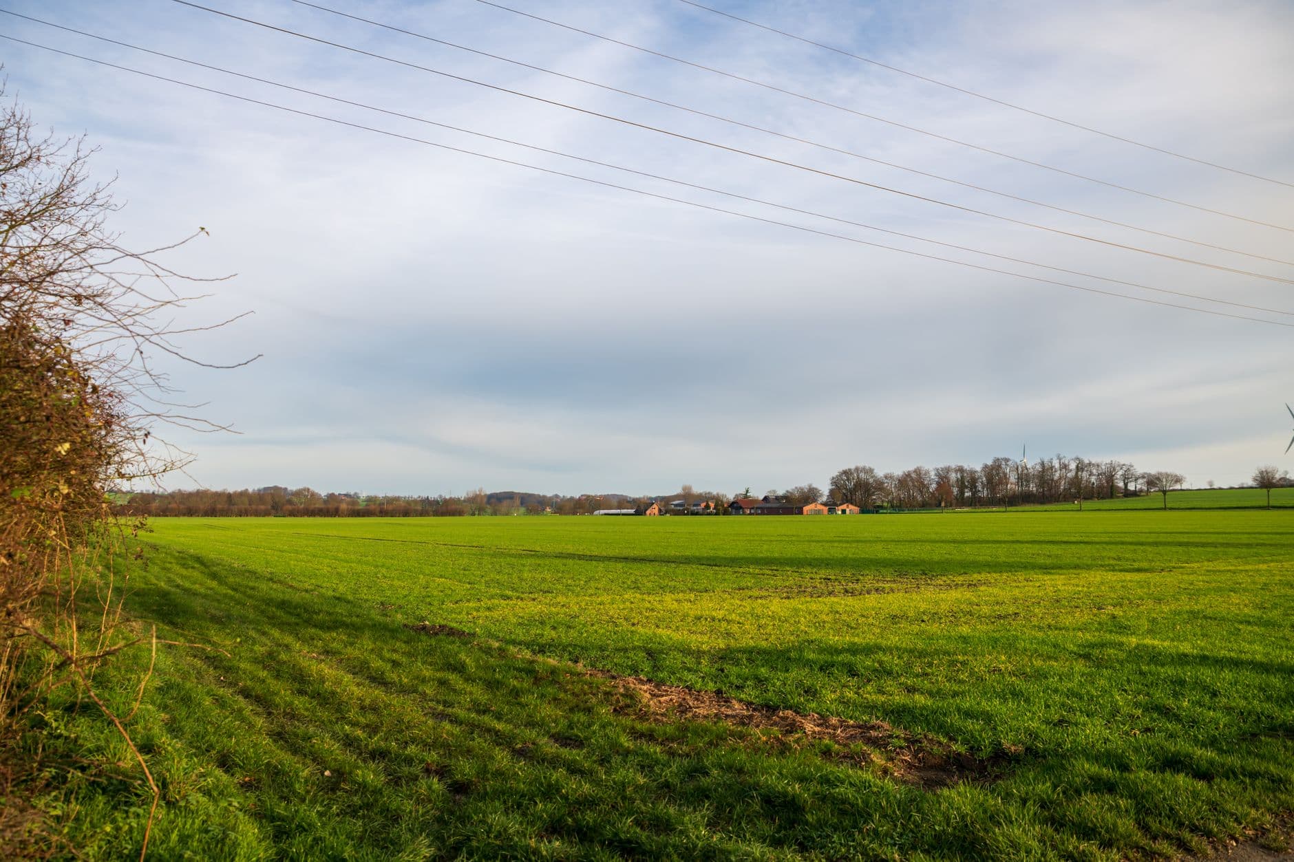 Vlak groen akkerland met hoogspanningskabels en boerderijen aan de bosrand