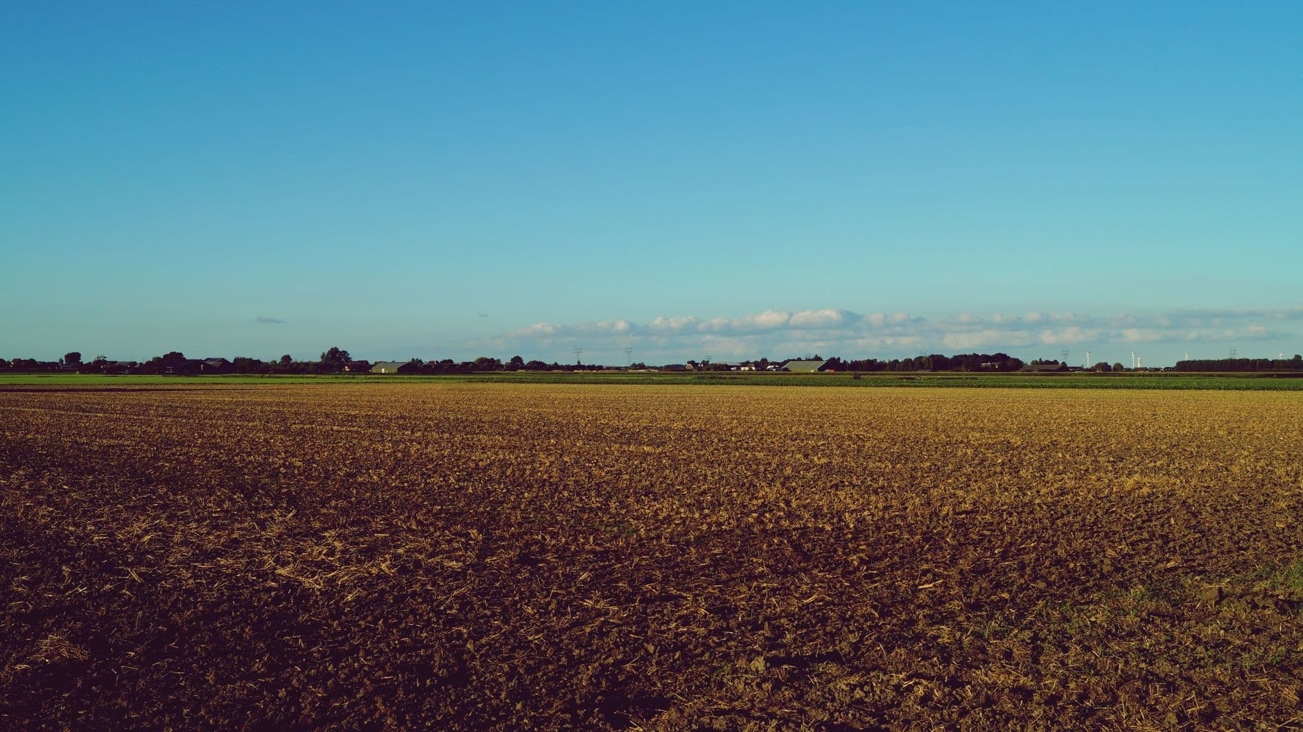 Vlak omgeploegd akkerland onder een heldere blauwe lucht met een bomenrij aan de horizon