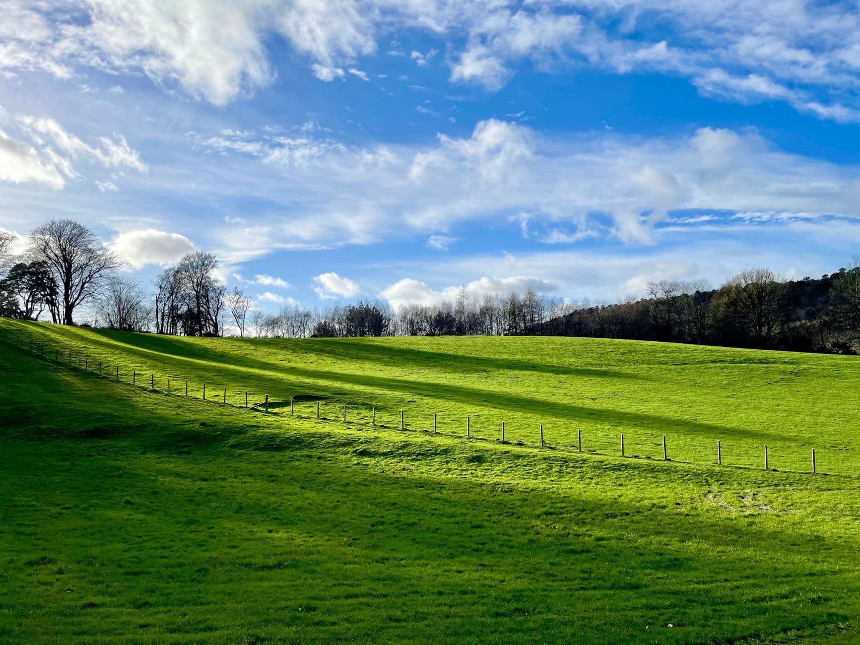 Glooiende groene weide met houten afrastering en bomenrij onder een blauwe lucht met wolken