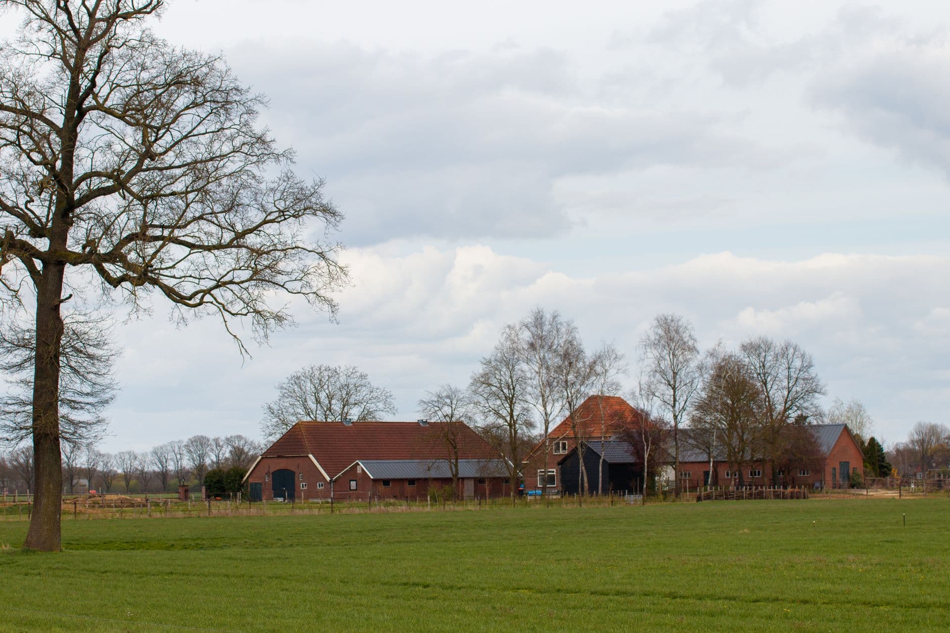 Bakstenen boerderij met rode pannendaken tussen kale bomen aan de rand van een groene weide