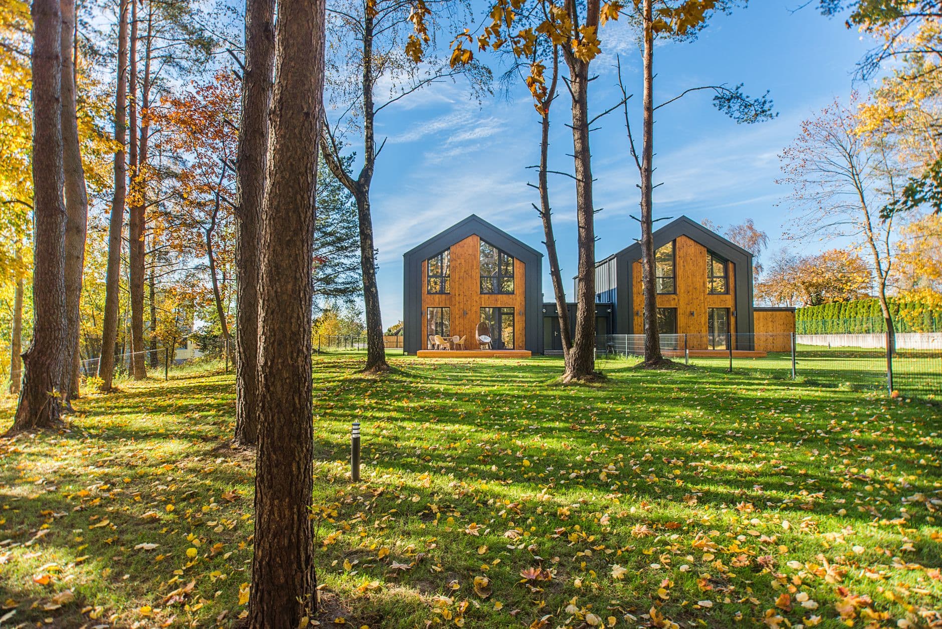 Moderne houten woningen met grijze puntgevels tussen dennen en herfstbladeren op een zonnig grasveld