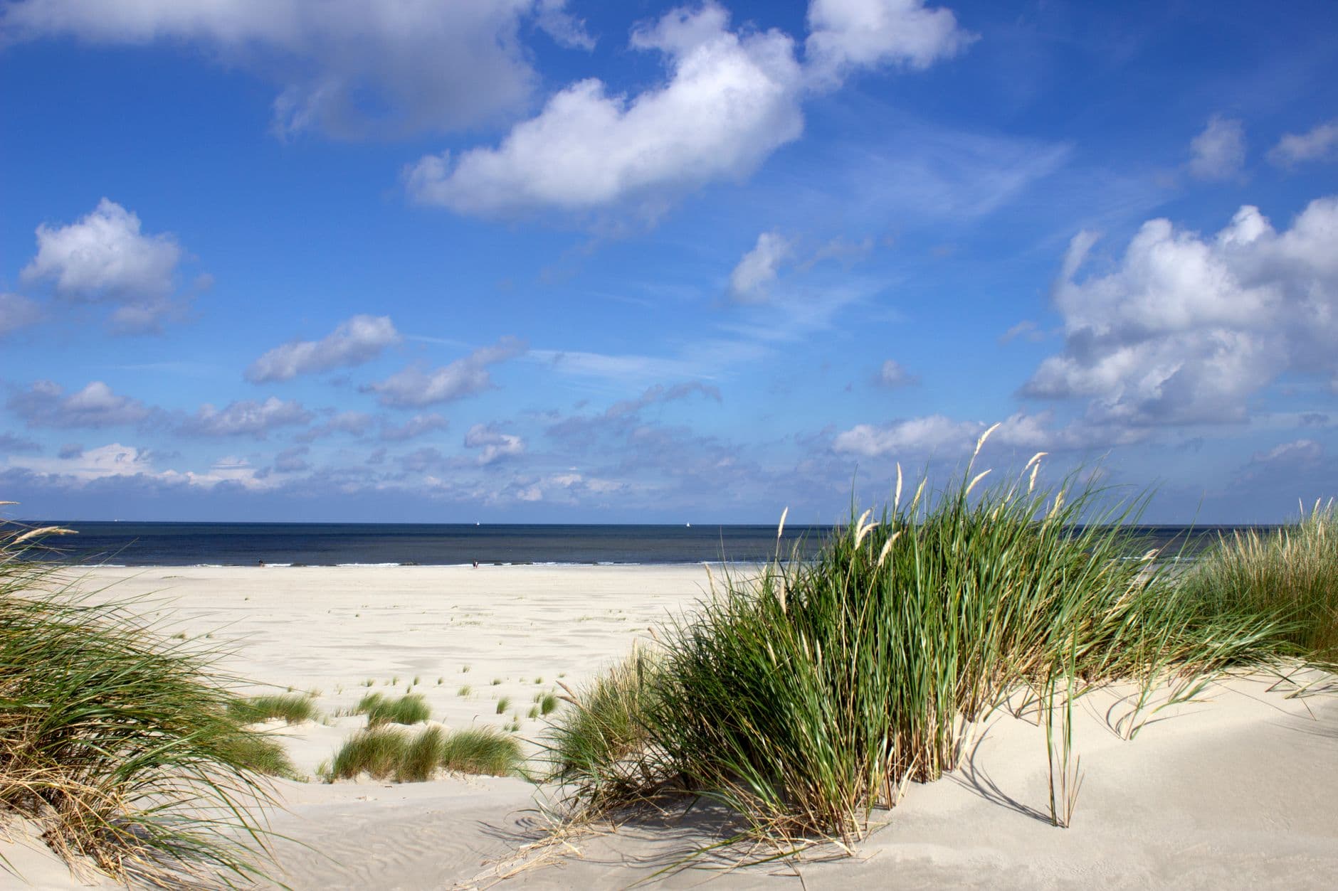 Zandstrand met helmgras op de duinen en de zee onder een blauwe lucht met stapelwolken