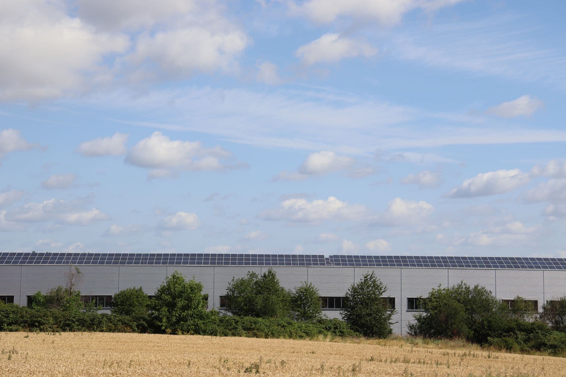 Loods met zonnepanelen op het dak achter een graanveld en een rij bomen onder een lichtbewolkte lucht