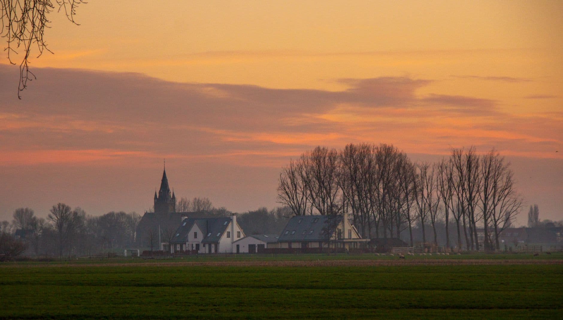 Vlakke akkers met woningen, kale bomen en een kerktoren bij zonsondergang