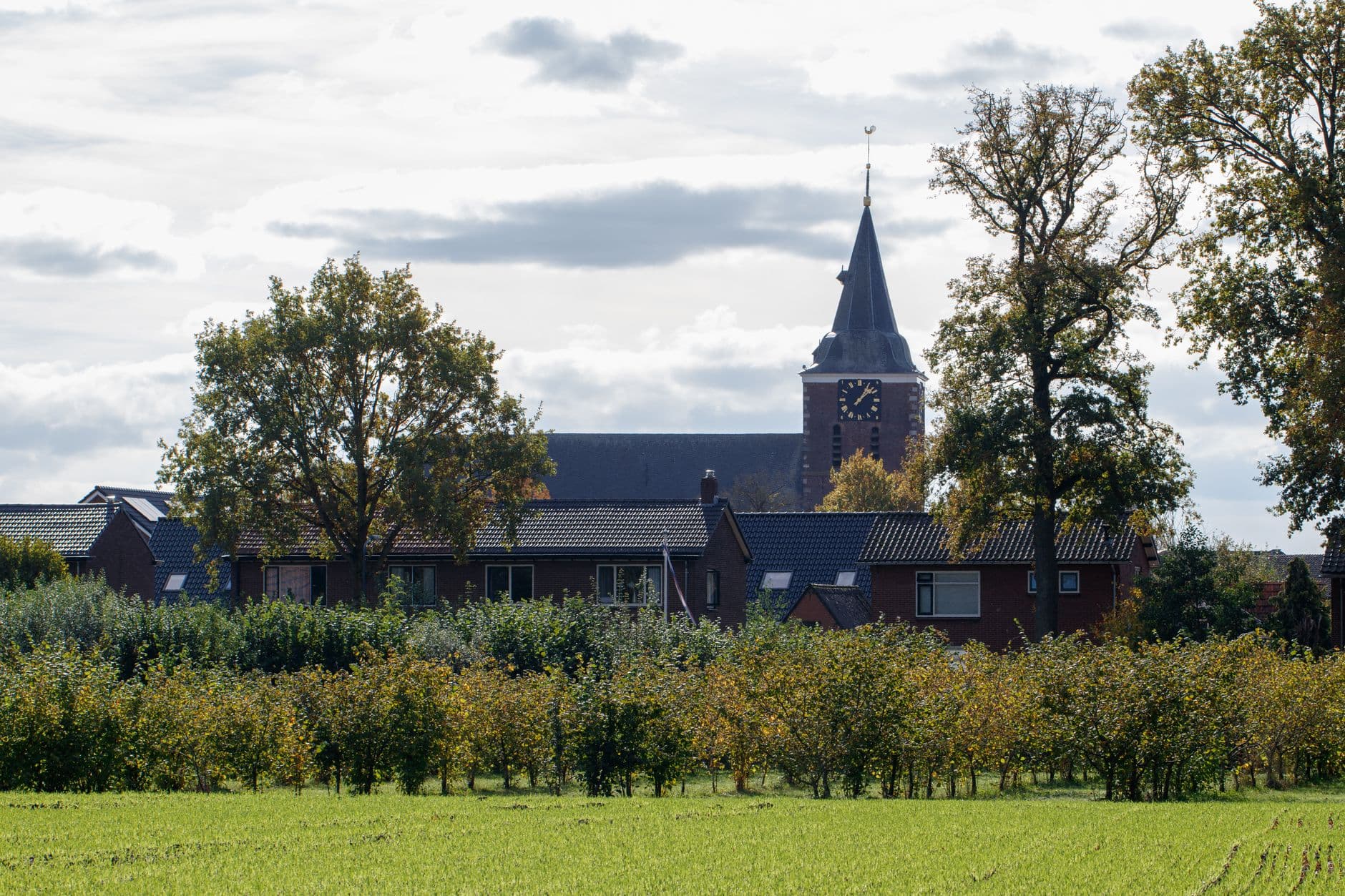 Landelijk dorp met bakstenen huizen en een kerktoren tussen de bomen achter een groen veld