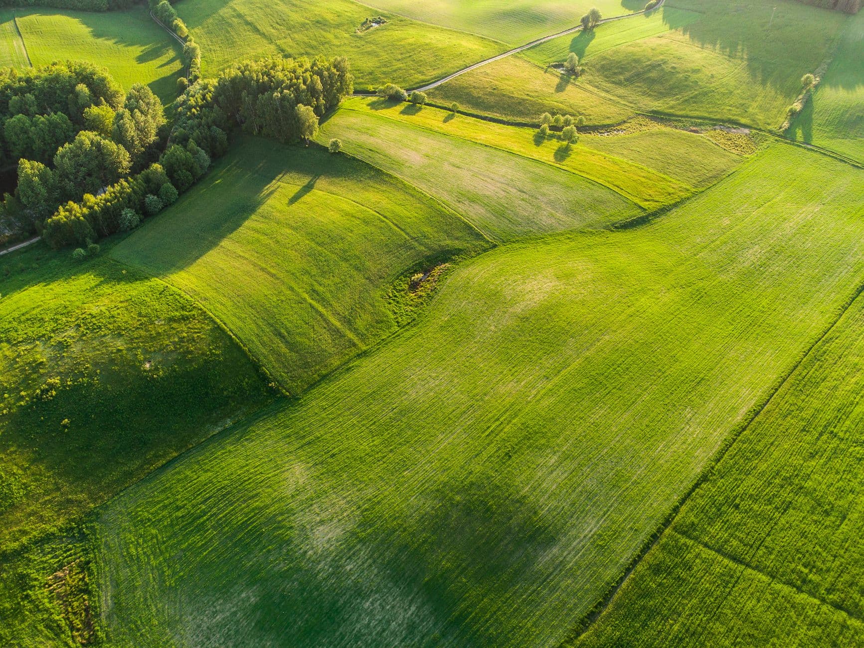 Luchtbeeld van glooiende groene akkers en weiden met bomenrijen in het avondlicht