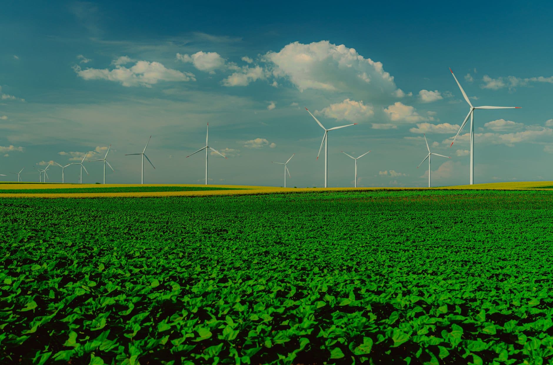 Windturbines achter een groen akkerveld onder een blauwe lucht met stapelwolken
