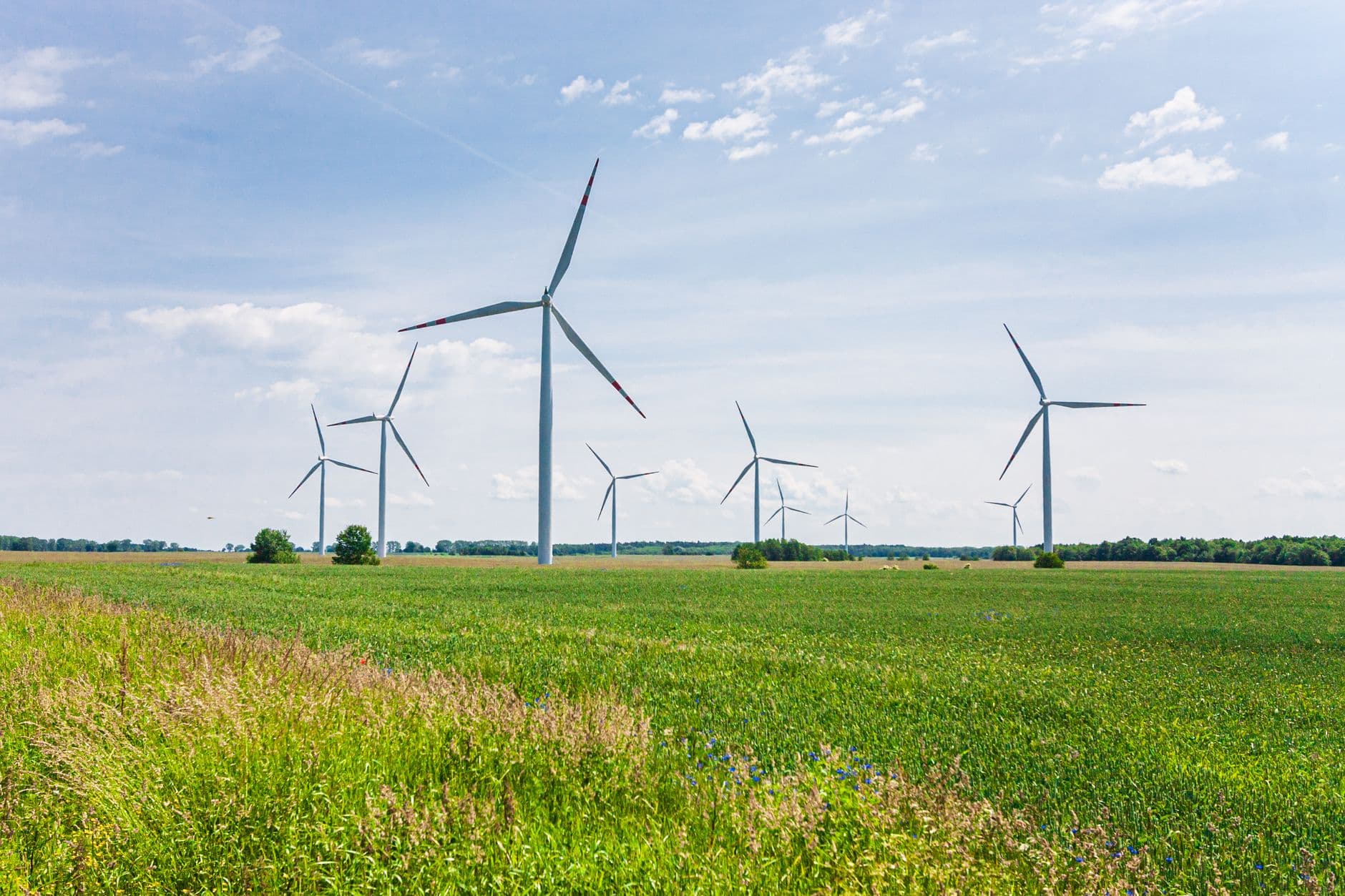 Windturbines in een vlak groen akkerland met wilde bloemen in de berm