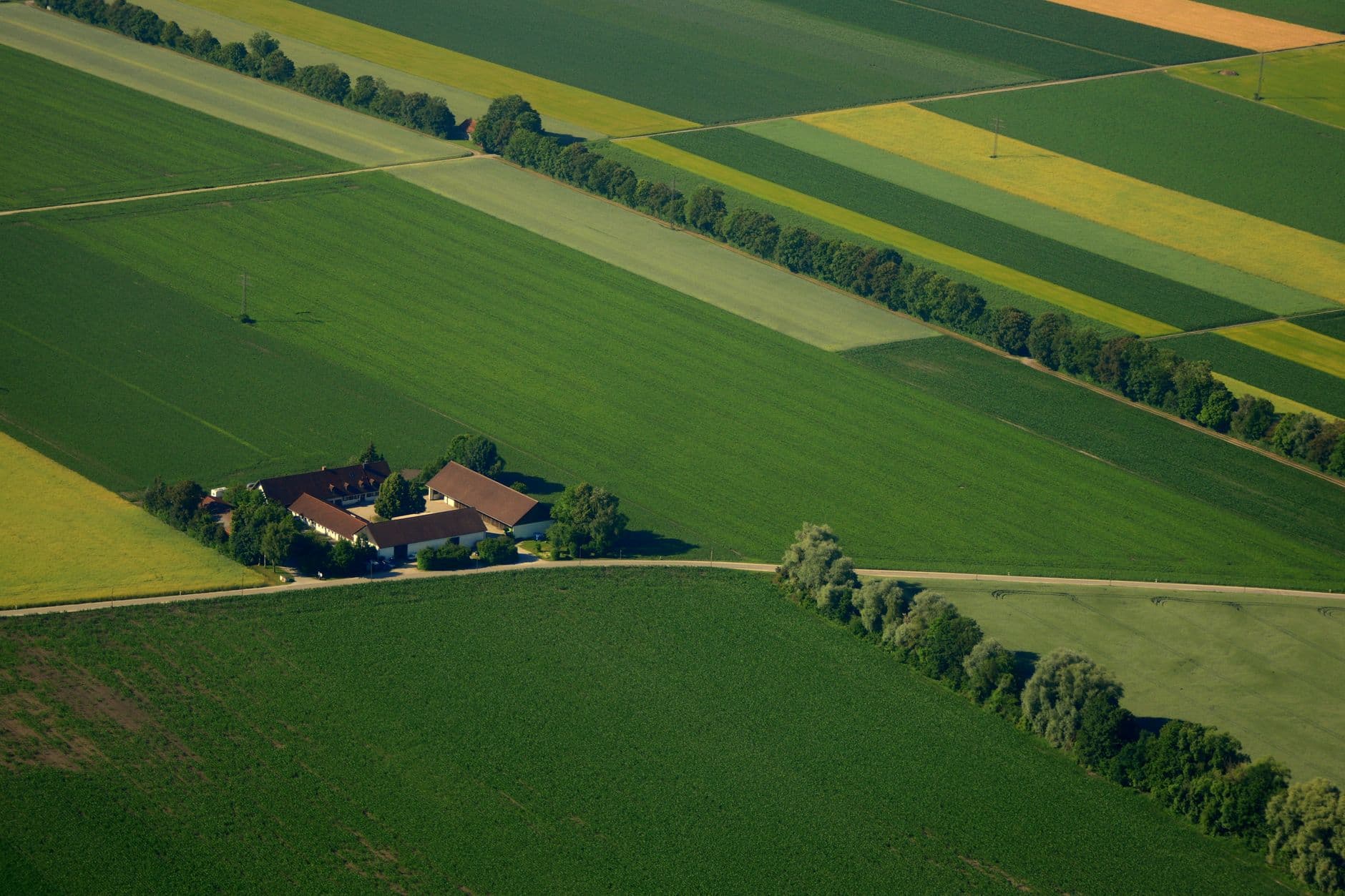 Luchtbeeld van een boerderij met rode daken tussen akkers en bomenrijen