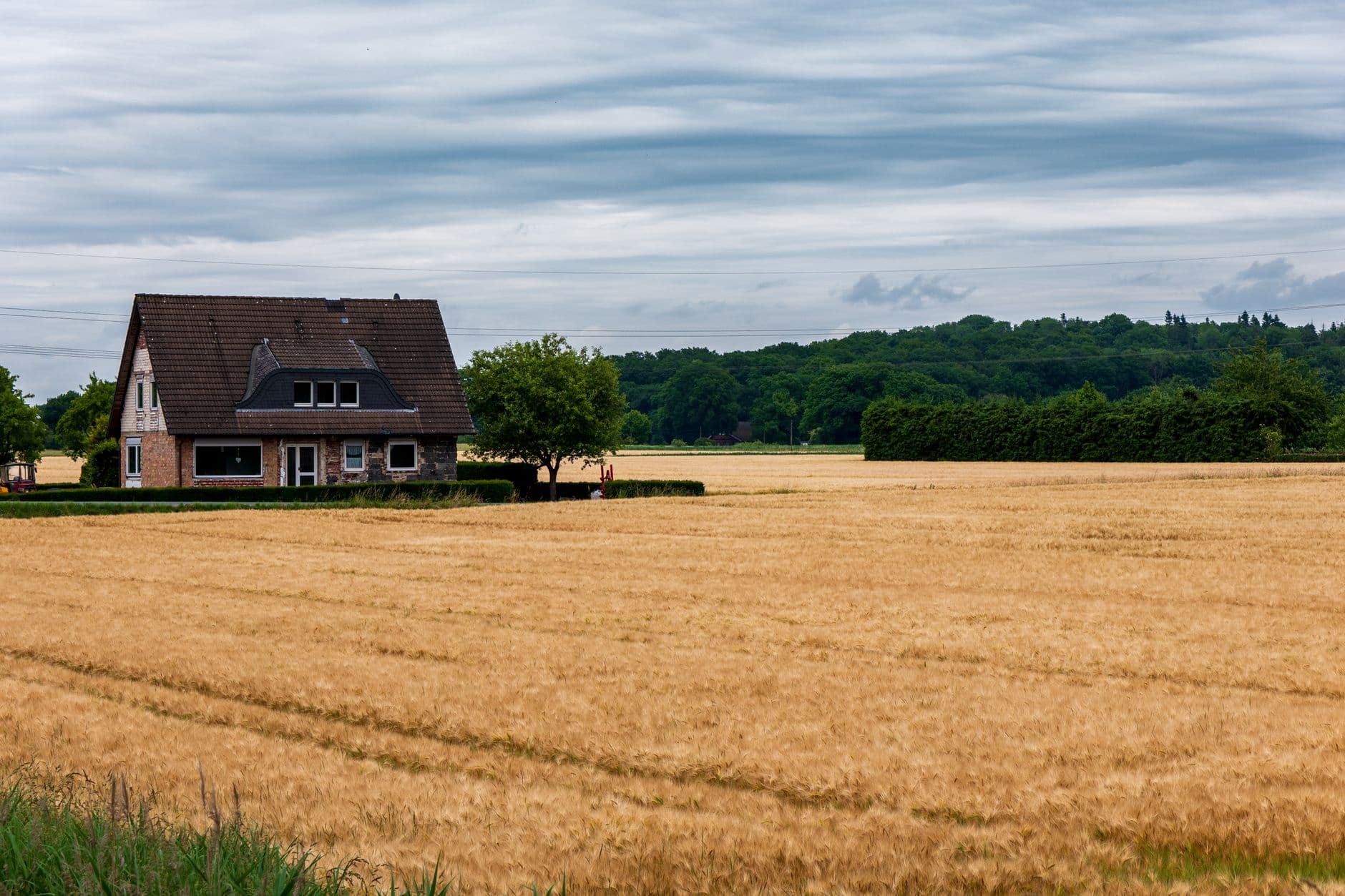 Bakstenen woning met donker pannendak aan de rand van een rijp graanveld onder een bewolkte lucht