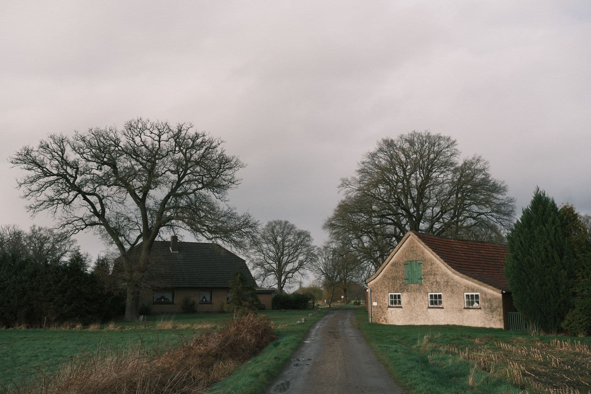 Landelijke weg langs bakstenen hoeves, weiden en kale eiken onder een grijze lucht