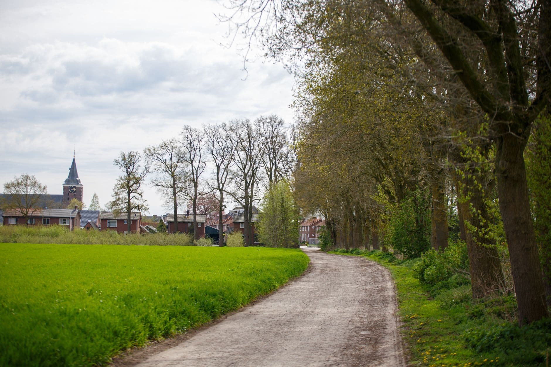 Landweg langs een groene akker en bomenrij naar een dorp met bakstenen huizen en een kerktoren