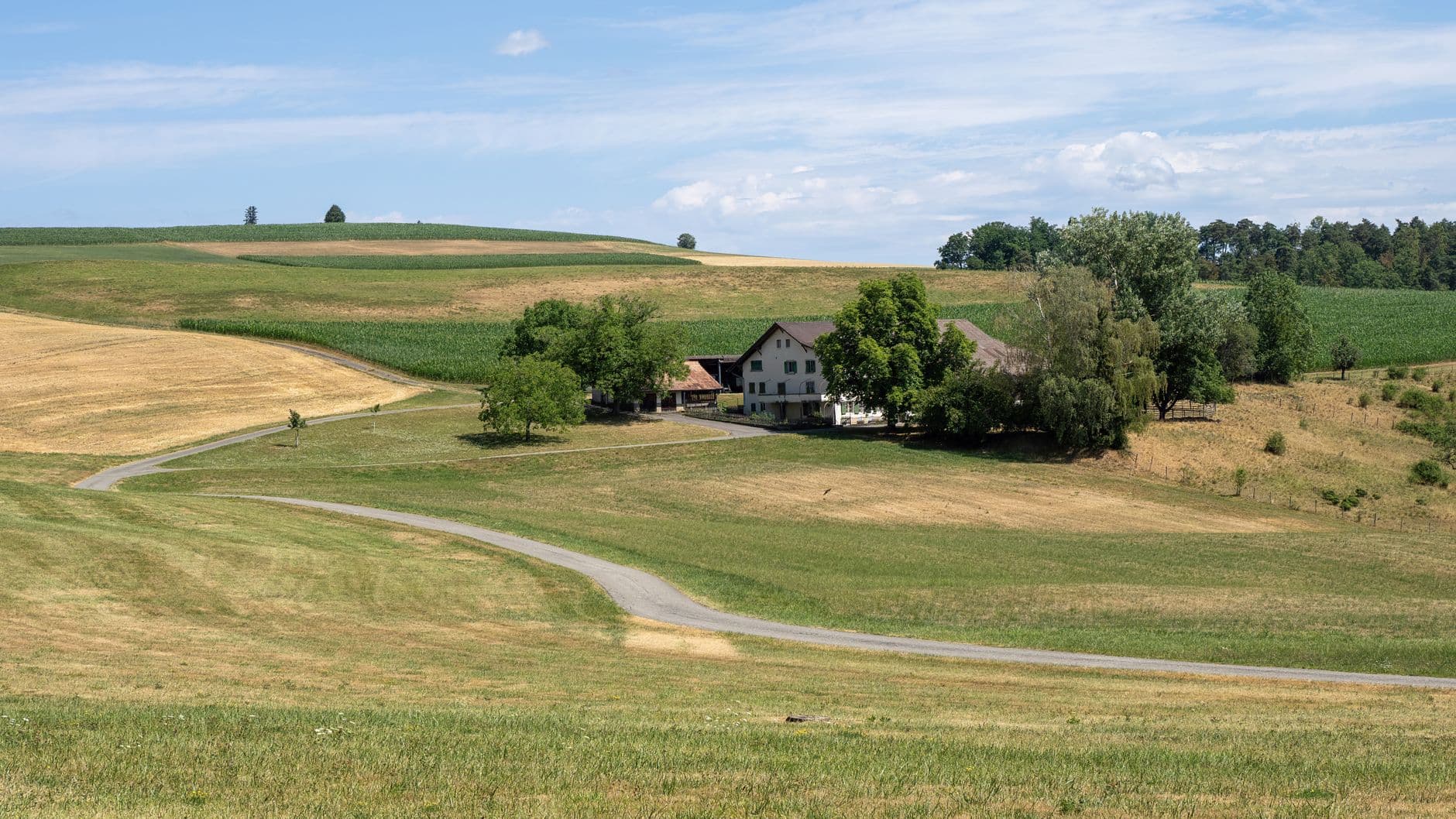 Glooiend landbouwlandschap met een hoeve tussen bomen en een kronkelende landweg