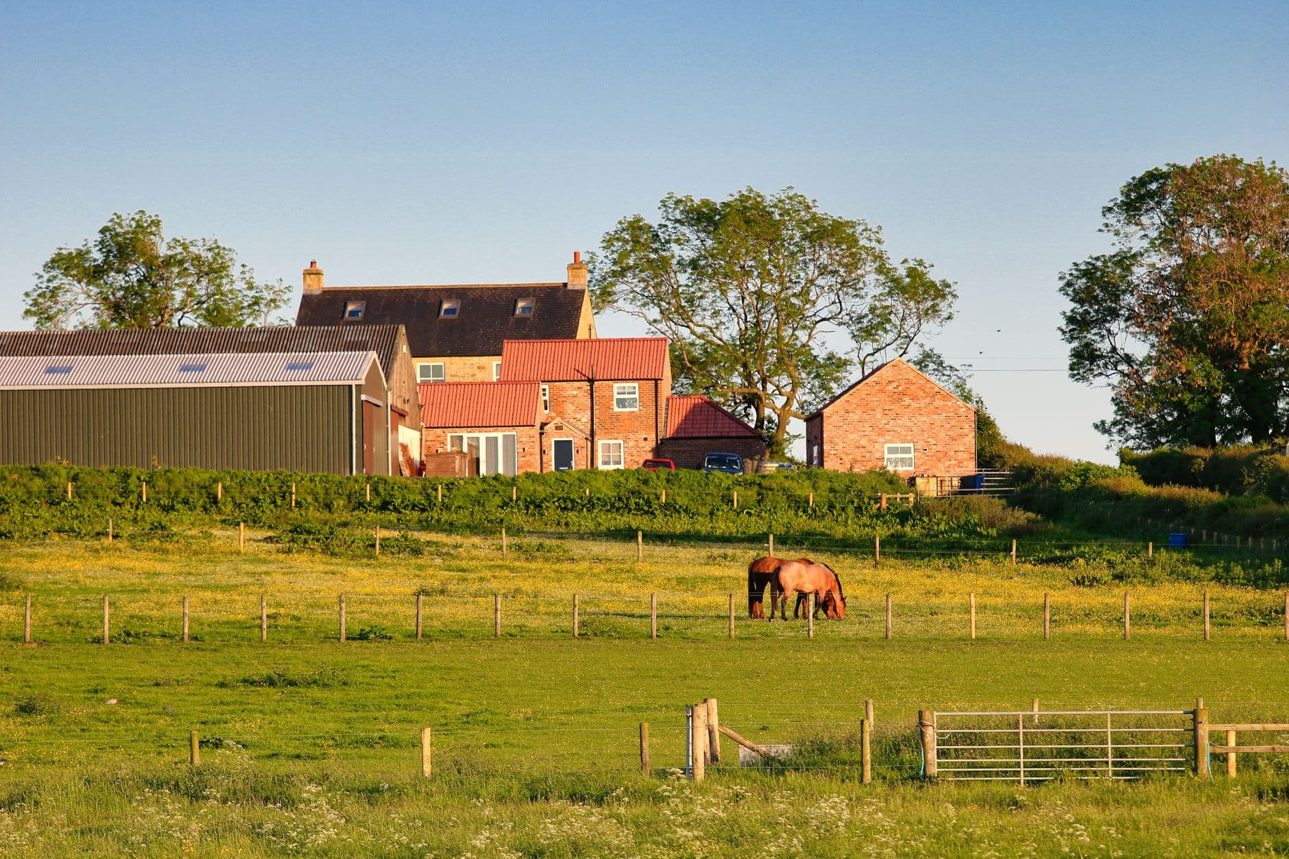 Bakstenen hoeve met schuur achter een weide waarin een paard graast