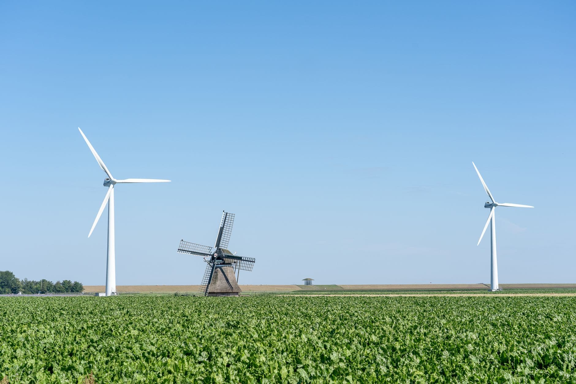 Houten windmolen tussen twee windturbines aan de rand van een groen akkerland