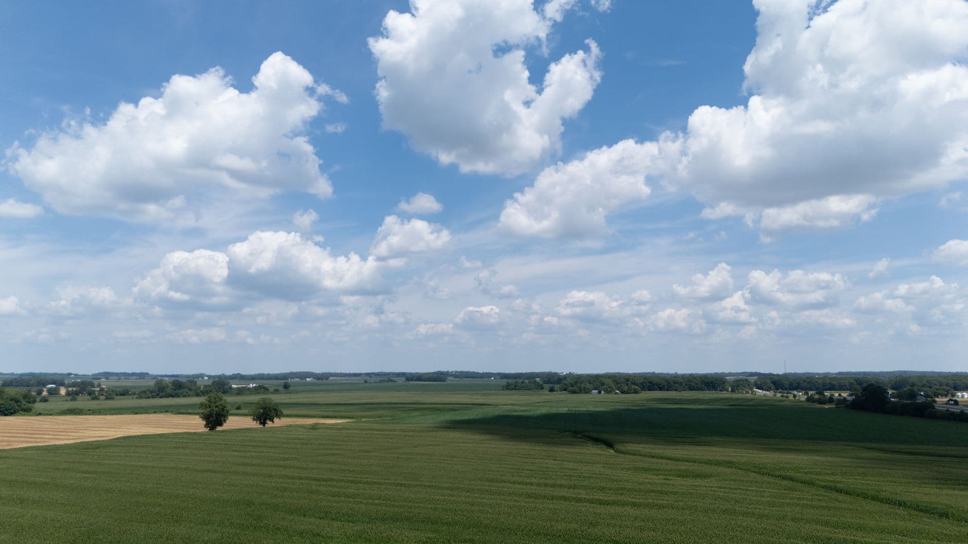 Groene akkers en verspreide bomen onder een blauwe lucht met witte stapelwolken