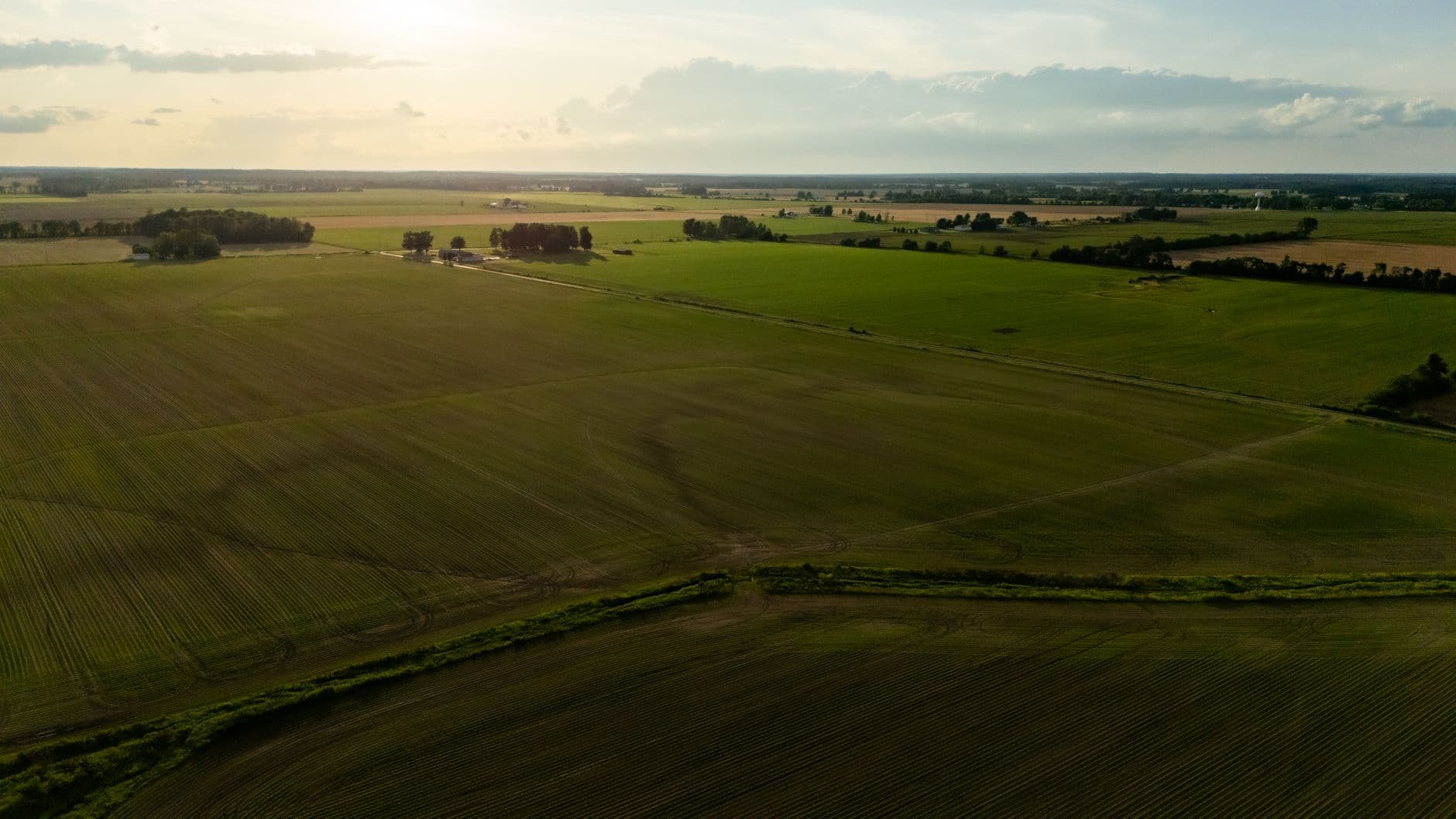 Luchtbeeld van vlakke groene akkers met bomengroepen en houtkanten bij laagstaande avondzon