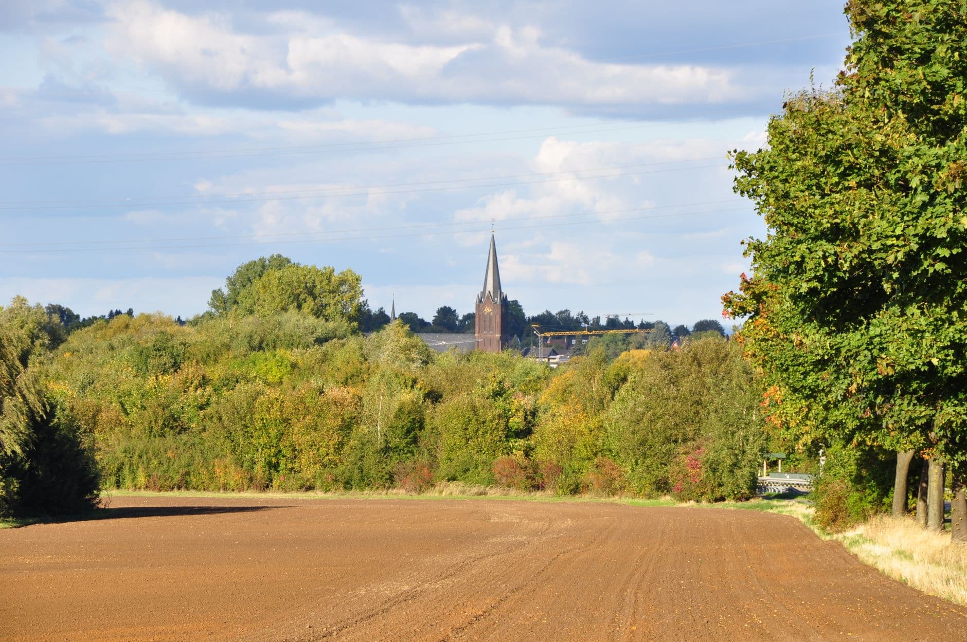 Geploegde akker met bomenrij en in de verte een kerktoren boven het groen