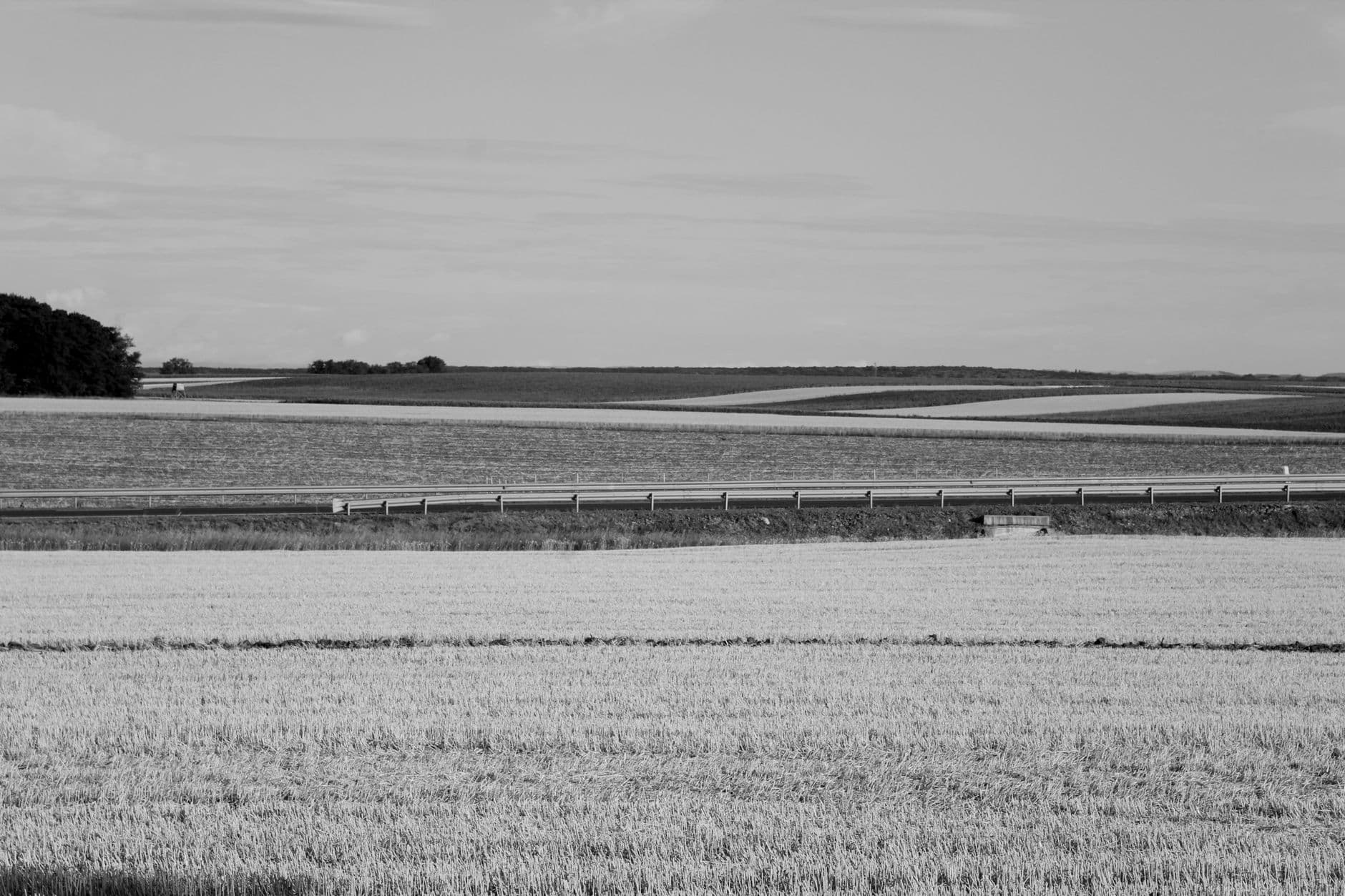 Zwart-witbeeld van vlakke akkers met een vangrail langs een landweg en een bomenrij aan de horizon