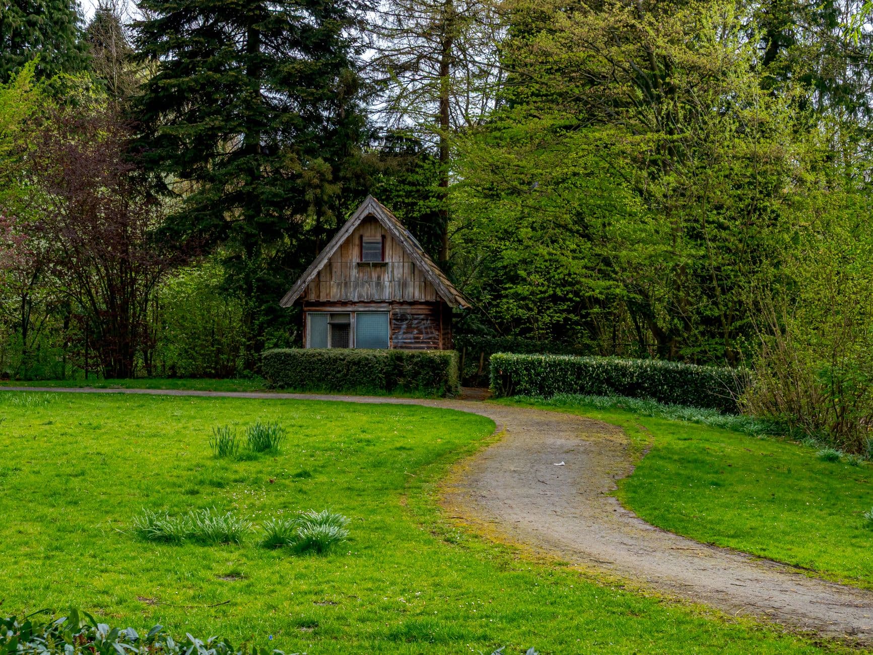 Houten tuinhuisje tussen hoge bomen aan een kronkelend pad door een groen grasveld