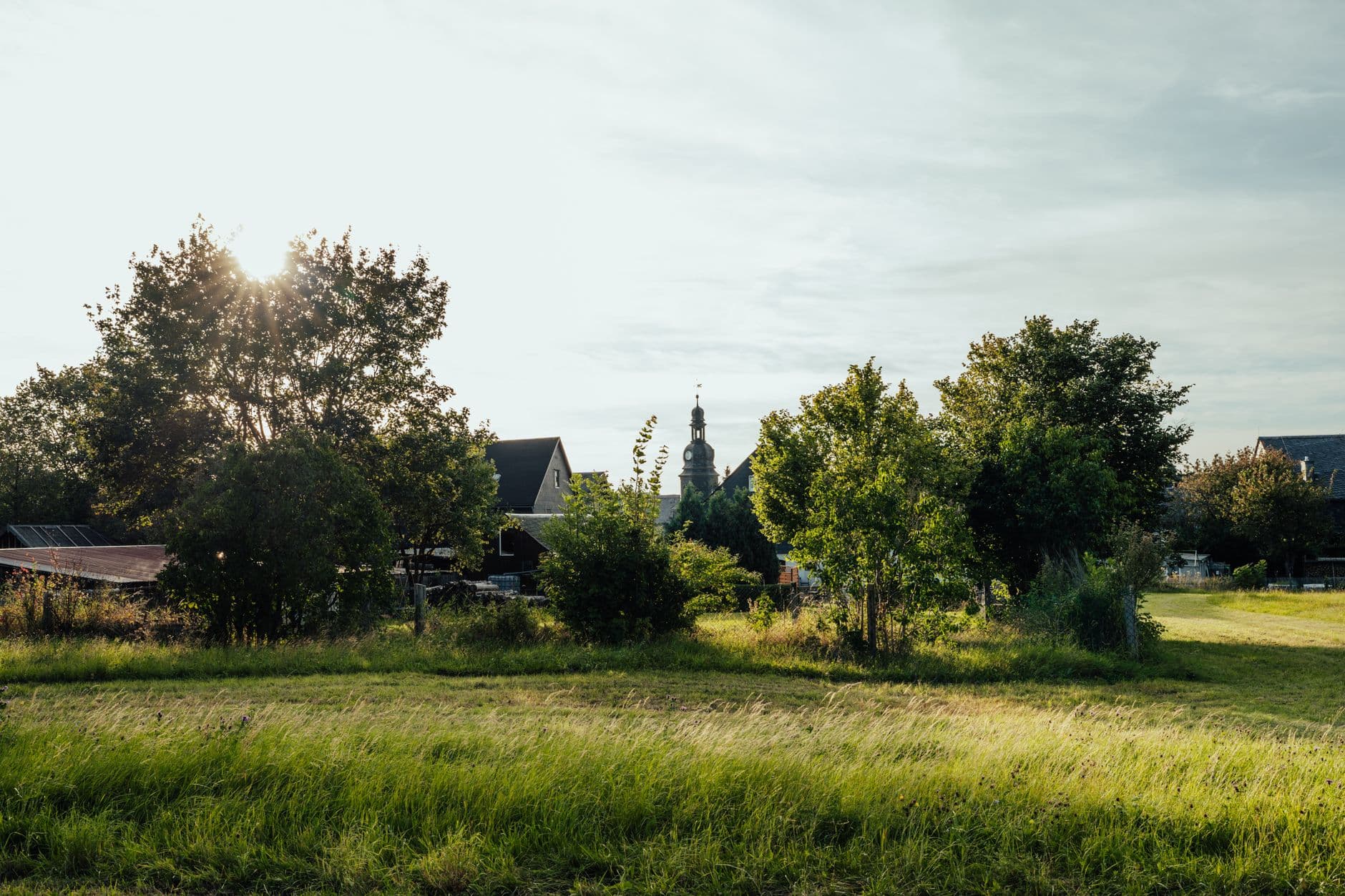 Grasweide met bomen en daken van een dorp met kerktoren in zacht avondlicht
