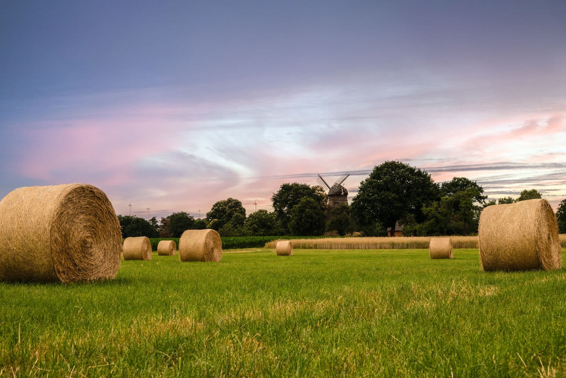 Ronde hooibalen op een grasveld met een houten windmolen tussen de bomen bij zonsondergang