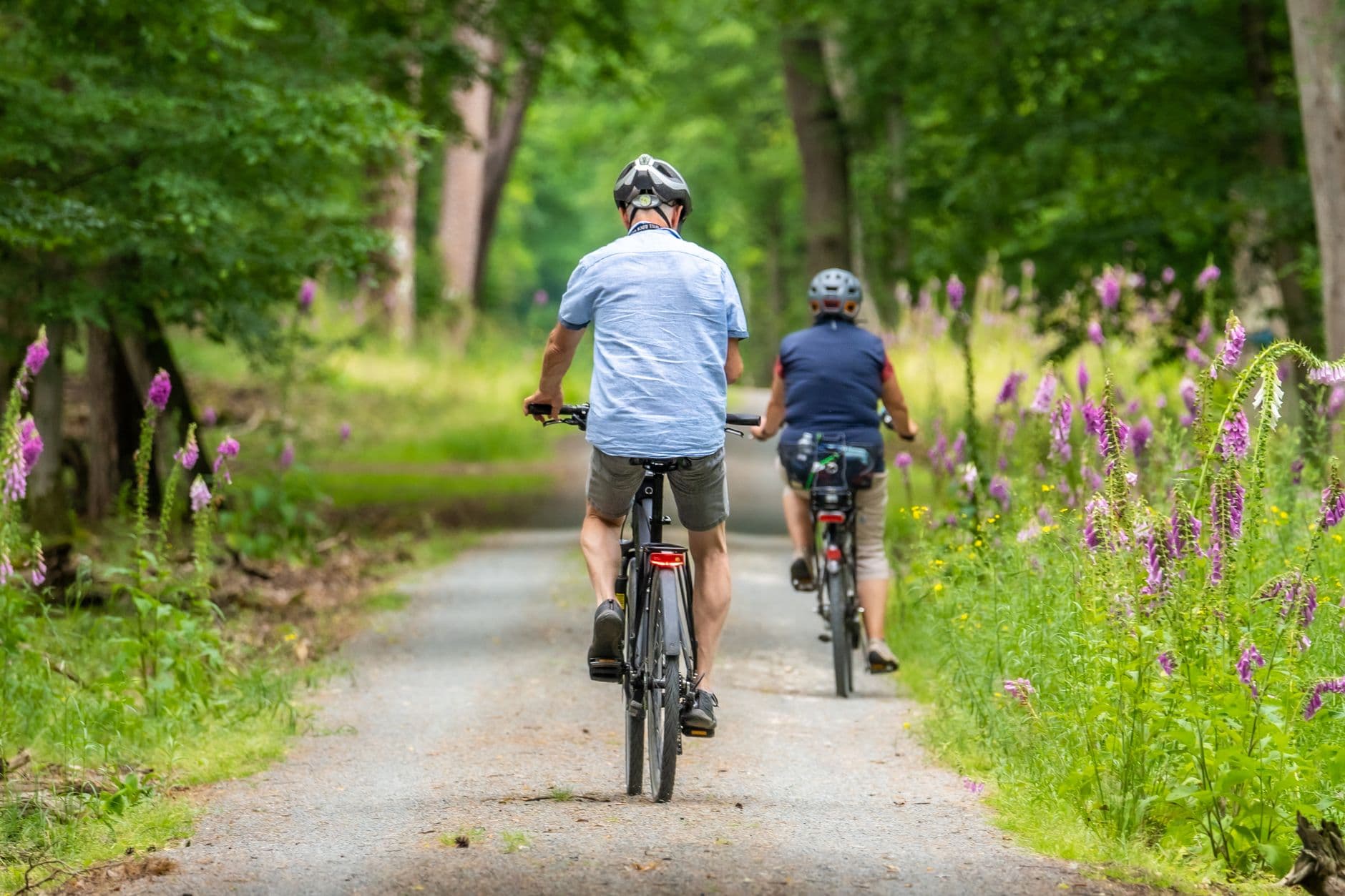 Twee fietsers op een grindpad door het bos, langs bloeiend vingerhoedskruid