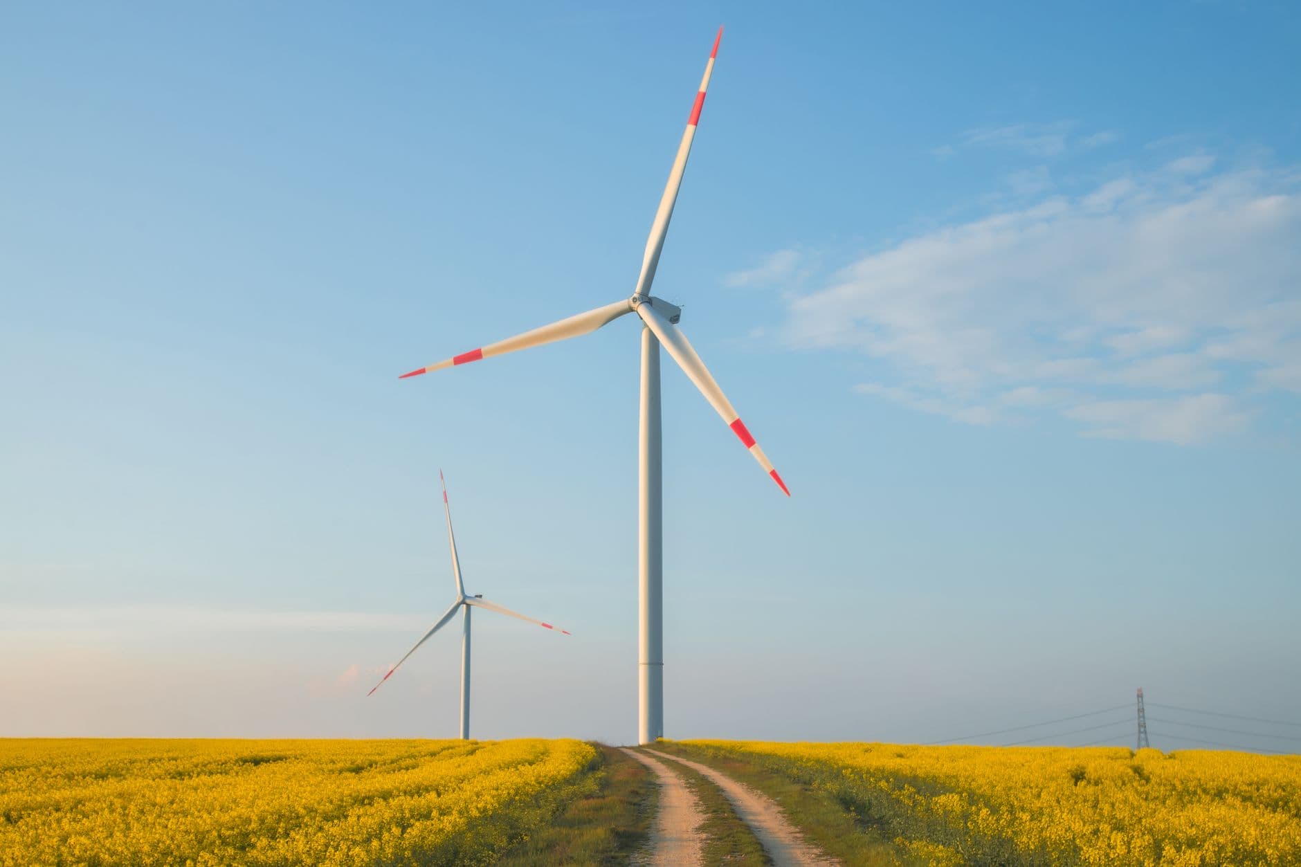 Twee windturbines langs een onverharde veldweg door een bloeiend koolzaadveld