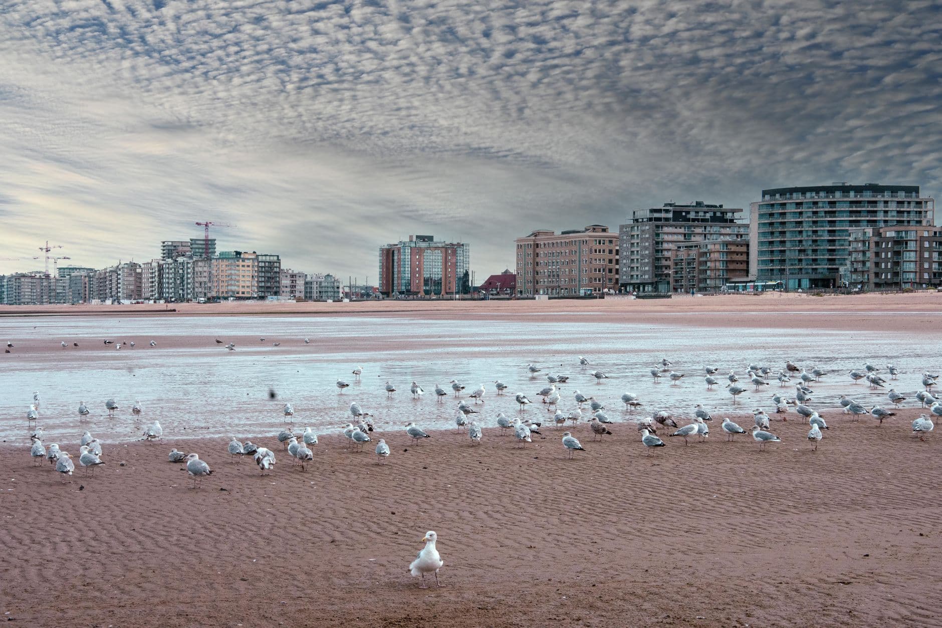 Elektricien in Oostende